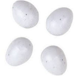 Πλαστικά αυγά για καναρίνια (4 τμχ)