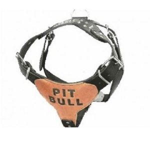 Σαμαράκι σκύλου δερμάτινο 'PIT BULL