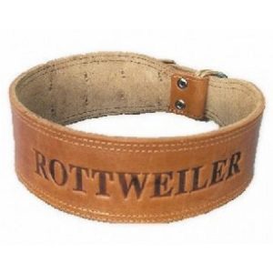 Περιλαίμιο σκύλου δερμάτινο 'ROTTWΕILER'