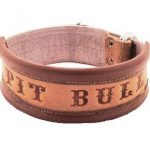 Περιλαίμιο σκύλου δερμάτινο 'PIT BULL'