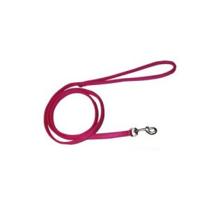 Οδηγός σκύλου ιμάντας DOUBLE LAYER LEASH φουξL: 2,5*120cm