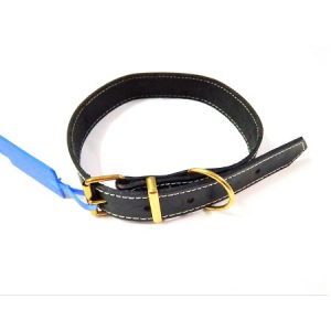 Περιλαίμιο σκύλου