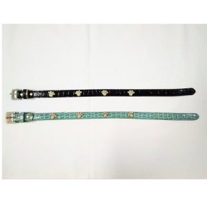 Περιλαίμιο σκύλου