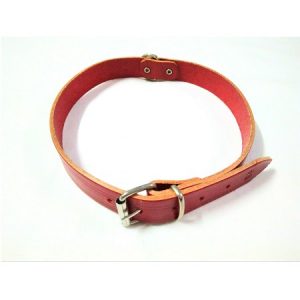 Περιλαίμιο σκύλου