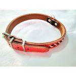 Περιλαίμιο σκύλου