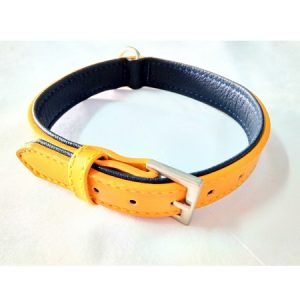 Περιλαίμιο σκύλου