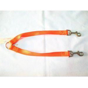 Προέκταση οδηγού σκύλου