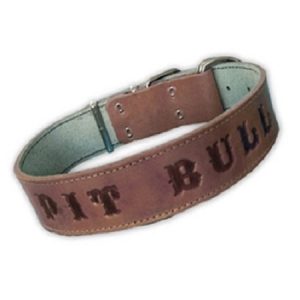 Περιλαίμιο σκύλου δερμάτινο 'PIT BULL' ενισχυμένο