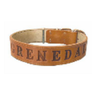Περιλαίμιο σκύλου δερμάτινο 'GRENEDAL'