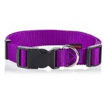 Περιλαίμιο σκύλου Ιμάντας PLAIN LINE COLLARS μοβ small 1,5*22-40cm