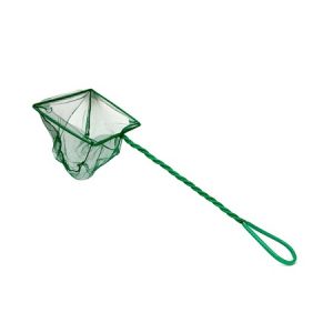 Απόχη ενυδρείου