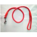 Οδηγός σκύλου