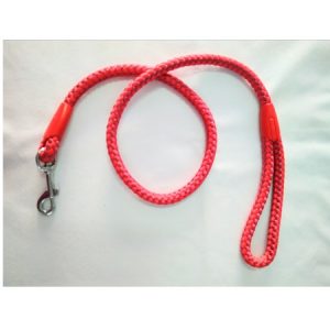 Οδηγός σκύλου