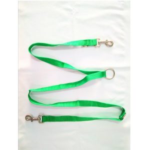 Οδηγός σκύλου