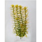 Φυτό ενυδρείου