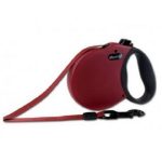 Οδηγός σκύλου