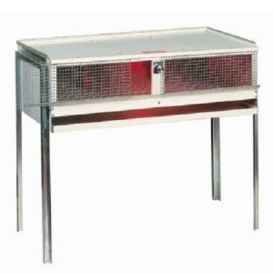 θερμοθάλαμος νεοσσών