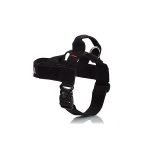 Σαμαράκι σκύλου