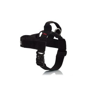 Σαμαράκι σκύλου