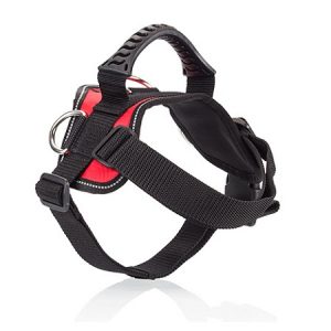 Σαμαράκι σκύλου GOGET HARNESS RED 3 D-RINGS large