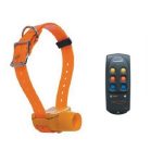 Ηλεκτρονικό κολάρο σκύλου