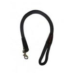 Οδηγός σκύλου