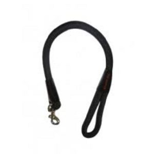 Οδηγός σκύλου