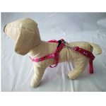 Οδηγός και σαμαράκι ιμάντας για σκύλους μικρόσωμους SET