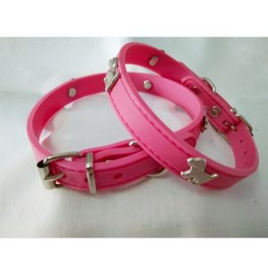 περιλαίμιο σκύλου