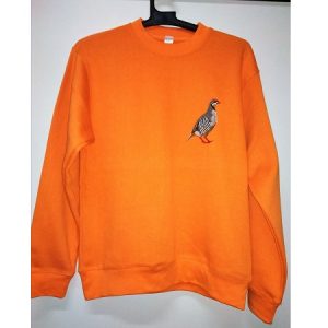 Μπλούζα φούτερ πορτοκαλί με κέντημα