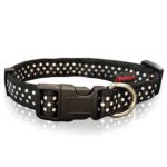 Περιλαίμιο σκύλου Ιμάντας DOTS LINE COLLAR μαύρο