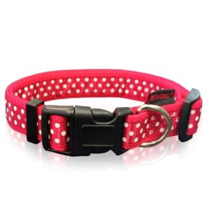 Περιλαίμιο σκύλου Ιμάντας DOTS LINE COLLAR  κόκκινο