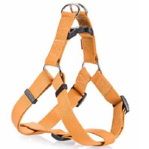 Σαμαράκι σκύλου ιμάντας PLAIN LINE HARNESS TYPE A χρυσό extra small