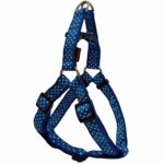 Σαμαράκι σκύλου ιμάντας DOTS HARNESS TYPE A μπλε small