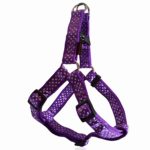 Σαμαράκι σκύλου ιμάντας DOTS HARNESS TYPE A μωβ large