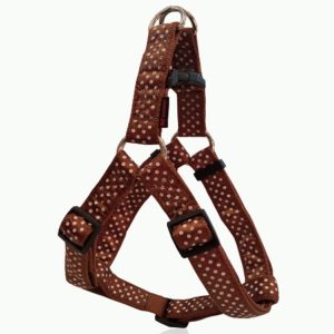 Σαμαράκι σκύλου ιμάντας DOTS HARNESS TYPE A καφέ extra small