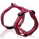 Σαμαράκι σκύλου ιμάντας CHECKED HARNESS TYPE B κόκκινο large