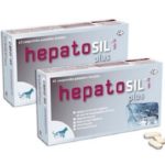 Διατροφικό συμπλήρωμα ηπατοπροστατευτικό για σκύλο και γάτα HEPATOSIL small breeds 30 tabs