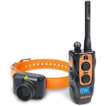 Σύστημα ηλεκτρικού κολάρου εκπαίδευσης , φέρμας DOGTRA 2600 T&B