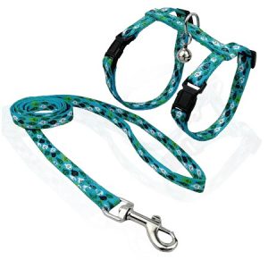 Σετ σαμαράκι και οδηγός γάτας Cat Harness & Leash Fish Flock small τυρκουαζ