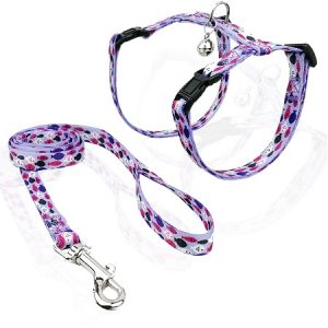 Σετ σαμαράκι και οδηγός γάτας Cat Harness & Leash Fish Flock small μωβ