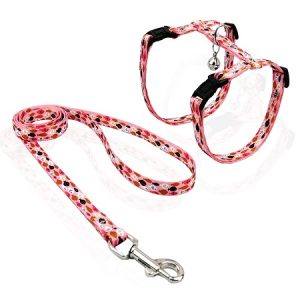 Σετ σαμαράκι και οδηγός γάτας Cat Harness & Leash Fish Flock small ροζ