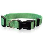 Περιλαίμιο σκύλου Ιμάντας PLAIN LINE COLLARS ανοιχτό πράσινο Large 2,5*47-70cm