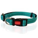 Περιλαίμιο σκύλου Ιμάντας STRIPES COLLAR ΓΑΛΑΖΙΟ medium