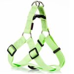 Σαμαράκι σκύλου ιμάντας PLAIN LINE HARNESS TYPE A ανοιχτό πράσινο extra small