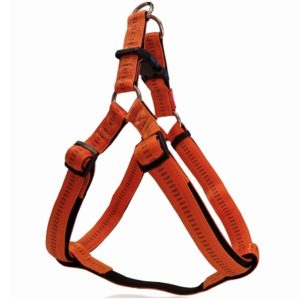 Σαμαράκι σκύλου διπλής στρώσης με μαξιλάρι STRIPES HARNESS WITH SOFT FILLING TYPE A πορτοκαλί large
