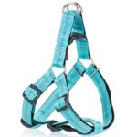 Σαμαράκι σκύλου διπλής στρώσης με μαξιλάρι STRIPES HARNESS WITH SOFT FILLING TYPE A ανοιχτό μπλε large