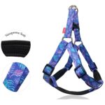 Σαμαράκι σκύλου neoprene VIOLETTA HARNESS TYPE A large