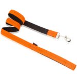 Οδηγός σκύλου ιμάντας DOUBLE LAYER LEASH WITH SOFT FILLING πορτοκαλί medium