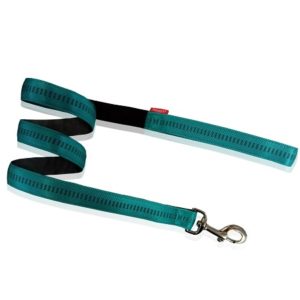 Οδηγός σκύλου ιμάντας DOUBLE LAYER LEASH WITH SOFT FILLING γαλάζιο small